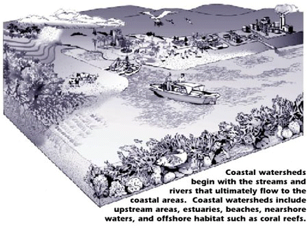 Coastal Watersheds